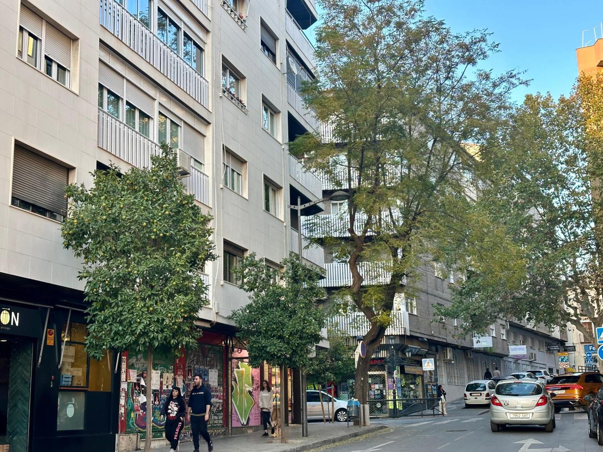 Amplio Y Luminoso Apartamento En El Centro De Granada Eksteriør bilde